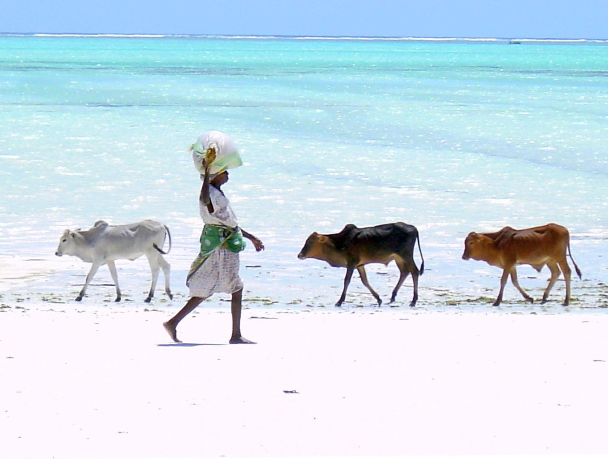 Villa Bahati Zanzibar Джамбиани Экстерьер фото
